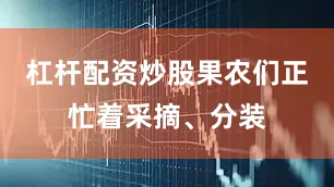 杠杆配资炒股果农们正忙着采摘、分装