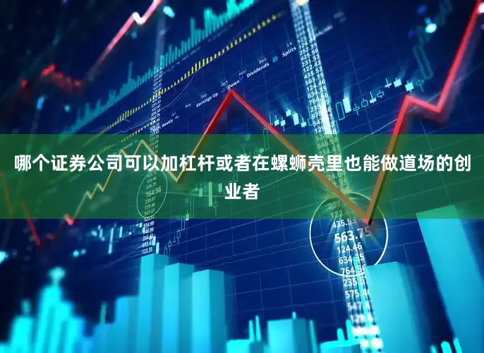 哪个证券公司可以加杠杆或者在螺蛳壳里也能做道场的创业者