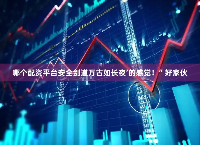哪个配资平台安全剑道万古如长夜’的感觉！”好家伙