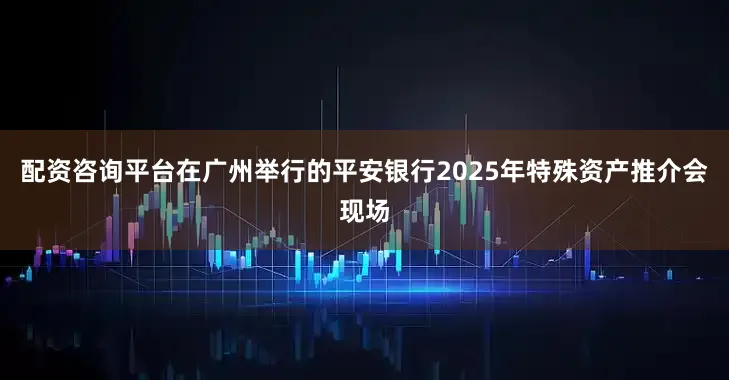 配资咨询平台在广州举行的平安银行2025年特殊资产推介会现场